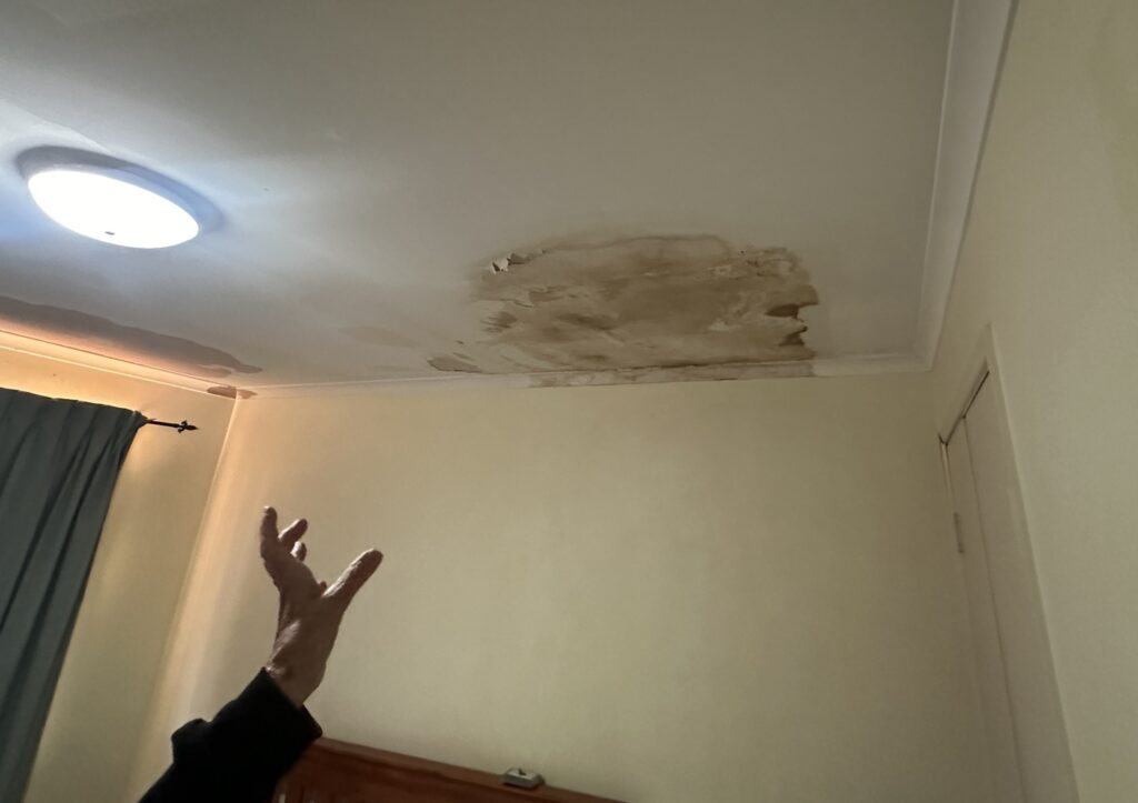 Mould on ceiling due to roof leak.