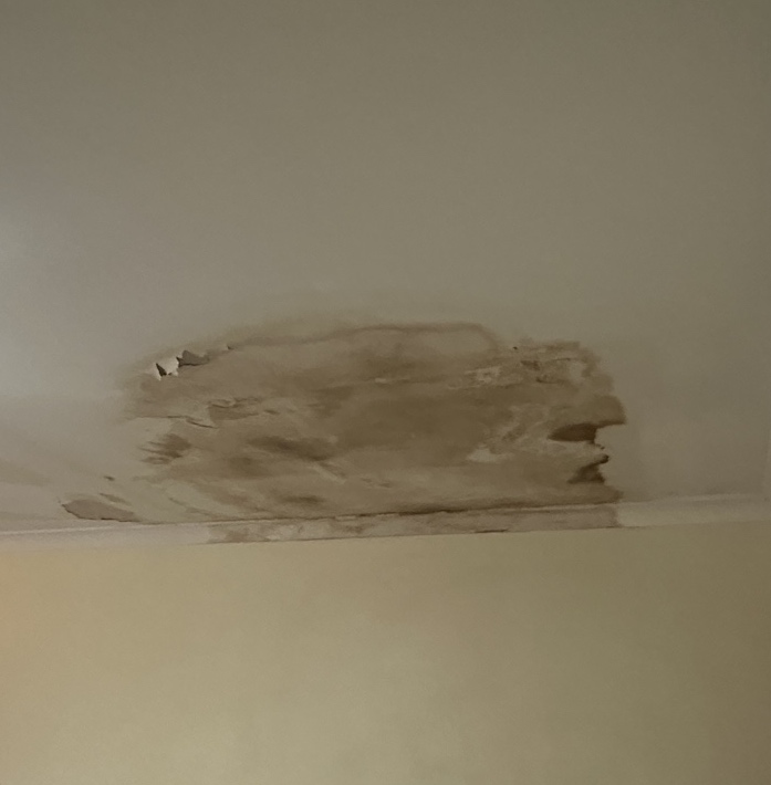 Roof leaks and water ingress can cause damage to ceilings.