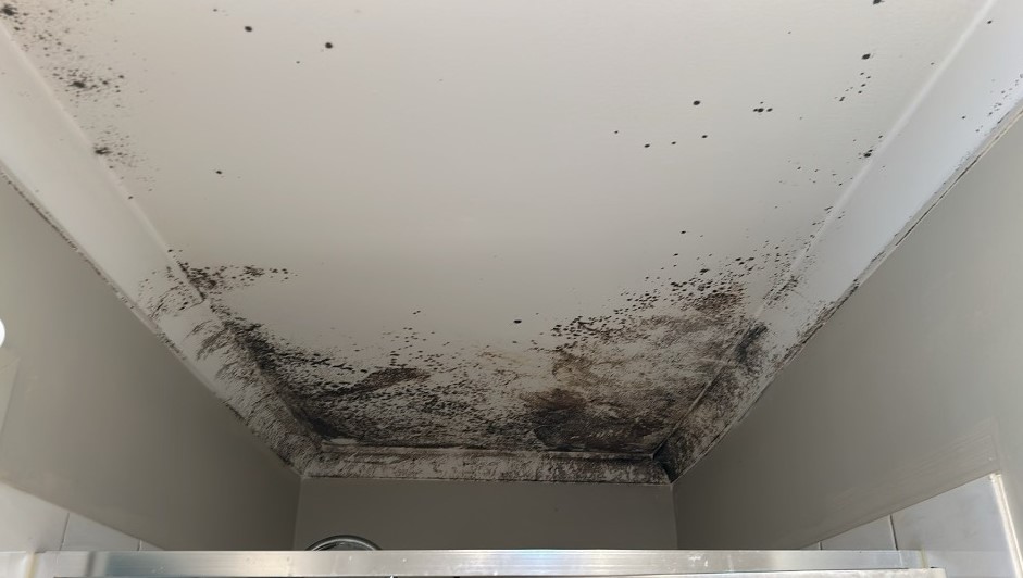 mould on ceiling as a result of tile roof damage