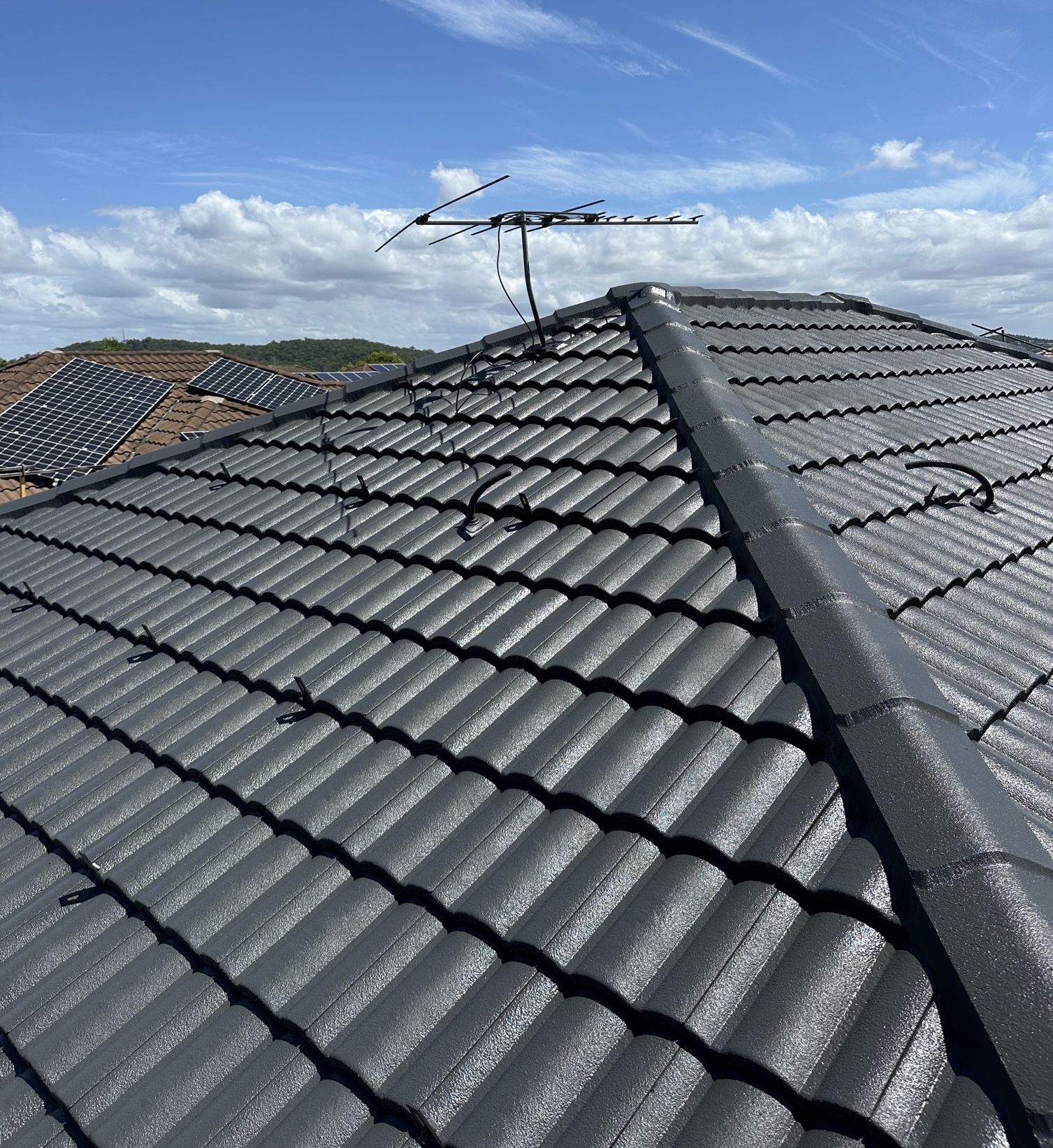 Gutter and Roof Repairs painted tile roof 