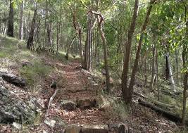 Belmont hills reserve in Brisbane